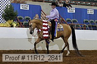 11r12_2841 proof