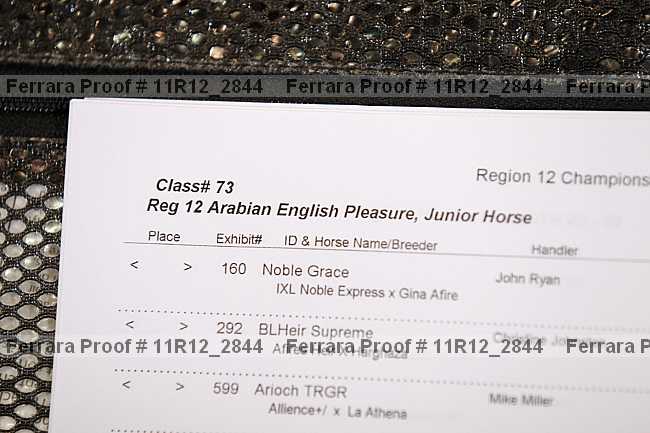 Proof 11r12_2844