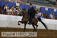 11r12_2847 proof
