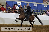 11r12_2848 proof