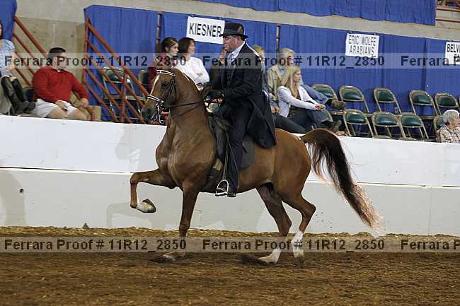 Proof 11r12_2850