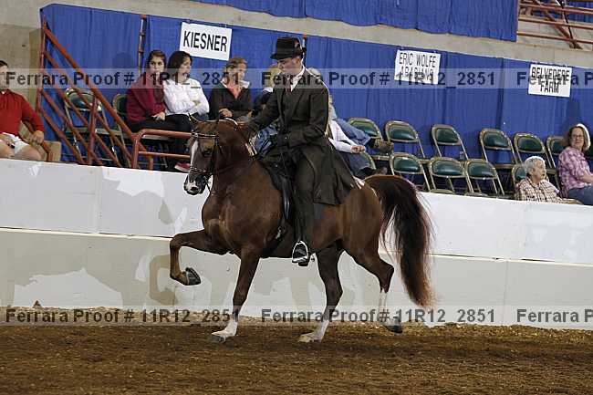 Proof 11r12_2851