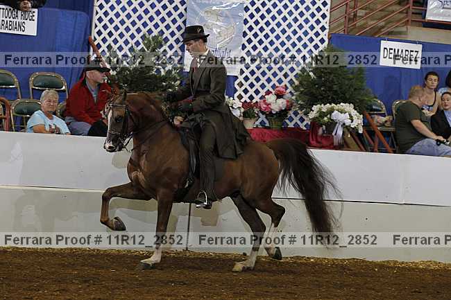 Proof 11r12_2852