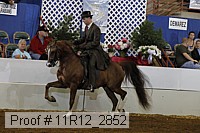 11r12_2852 proof