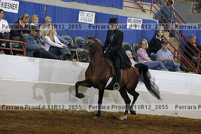 Proof 11r12_2855