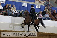 11r12_2855 proof