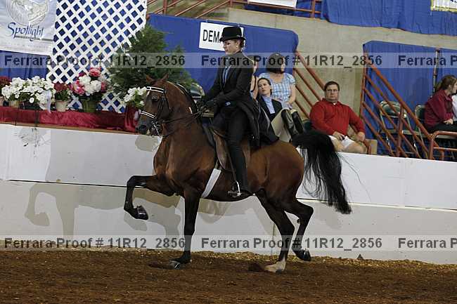 Proof 11r12_2856