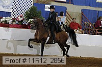 11r12_2856 proof