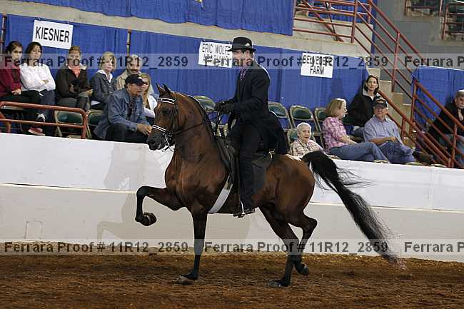 Proof 11r12_2859