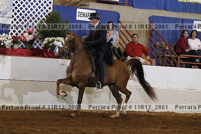 Proof 11r12_2861