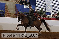 11r12_2864 proof