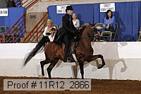 11r12_2866 proof