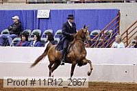 11r12_2867 proof