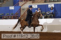11r12_2870 proof