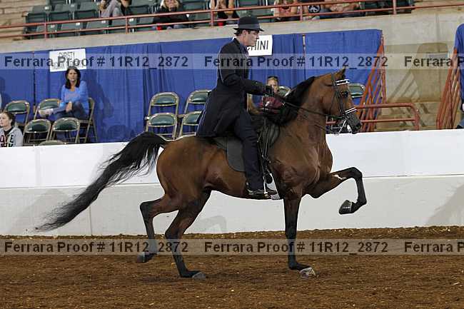 Proof 11r12_2872