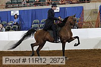 11r12_2872 proof