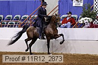 11r12_2873 proof