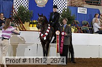11r12_2874 proof