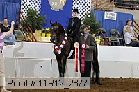 11r12_2877 proof
