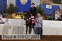 11r12_2883 proof