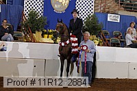 11r12_2884 proof