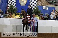 11r12_2885 proof