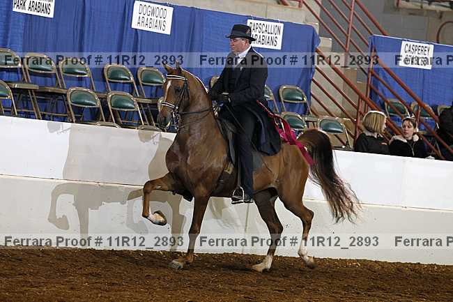 Proof 11r12_2893