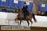 11r12_2893 proof