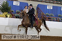 11r12_2894 proof