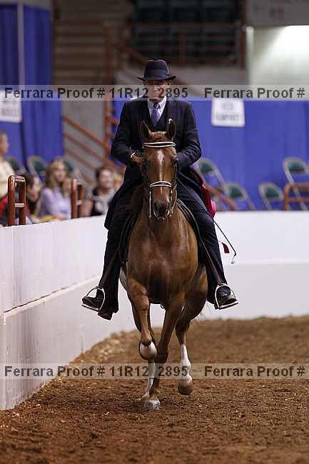 Proof 11r12_2895
