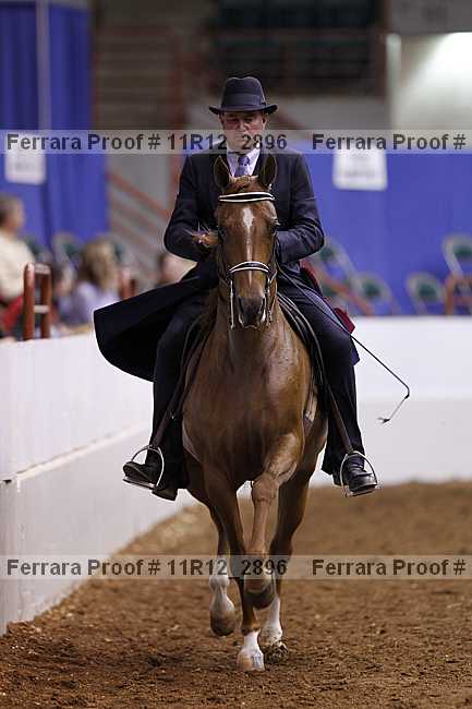 Proof 11r12_2896