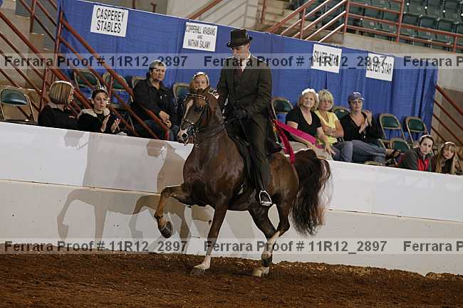 Proof 11r12_2897