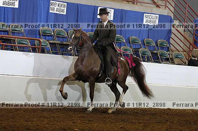 Proof 11r12_2898