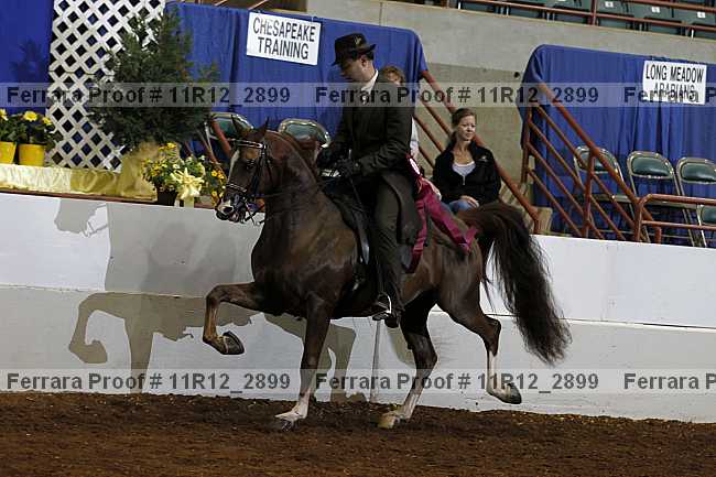 Proof 11r12_2899