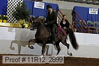 11r12_2899 proof