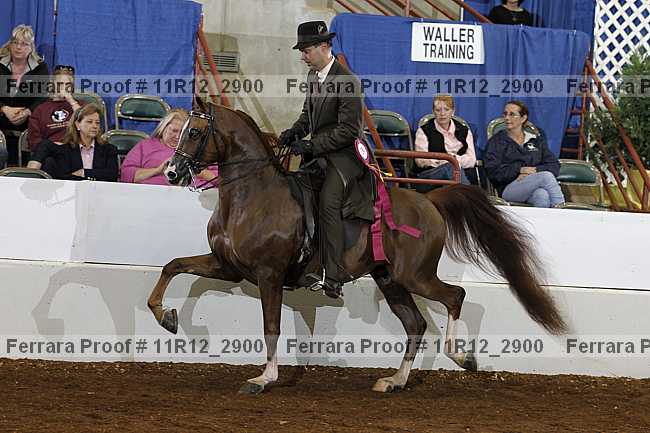 Proof 11r12_2900