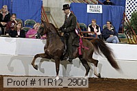11r12_2900 proof