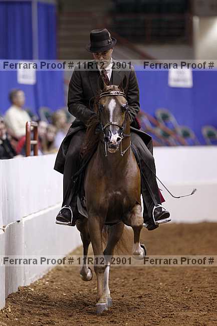 Proof 11r12_2901