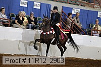 11r12_2903 proof
