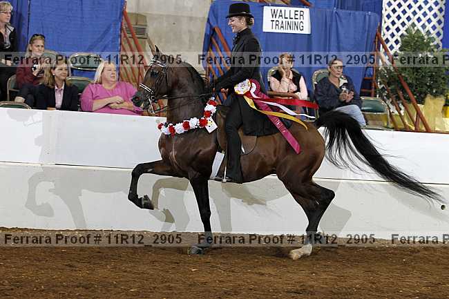 Proof 11r12_2905
