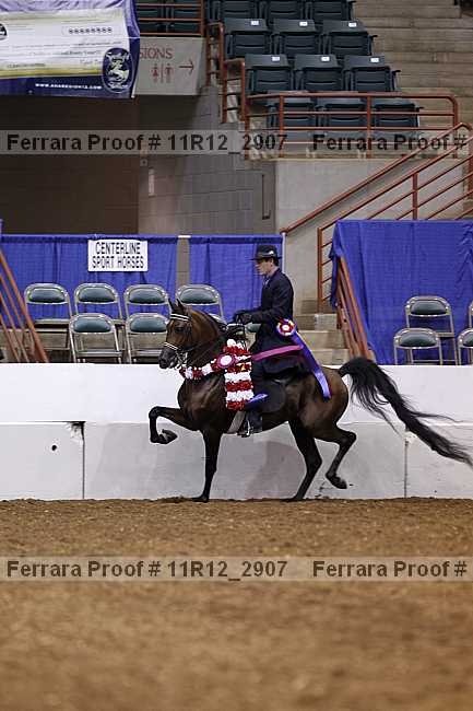 Proof 11r12_2907