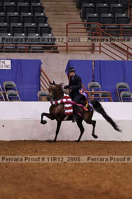 Proof 11r12_2908