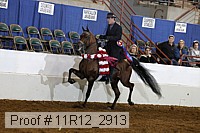 11r12_2913 proof