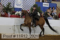 11r12_2921 proof