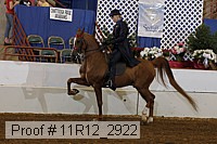 11r12_2922 proof