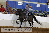 11r12_2923 proof