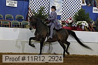 11r12_2924 proof