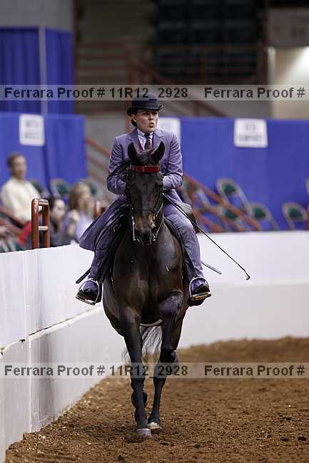 Proof 11r12_2928