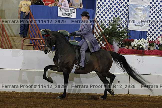 Proof 11r12_2929
