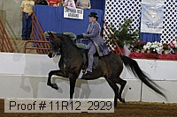 11r12_2929 proof